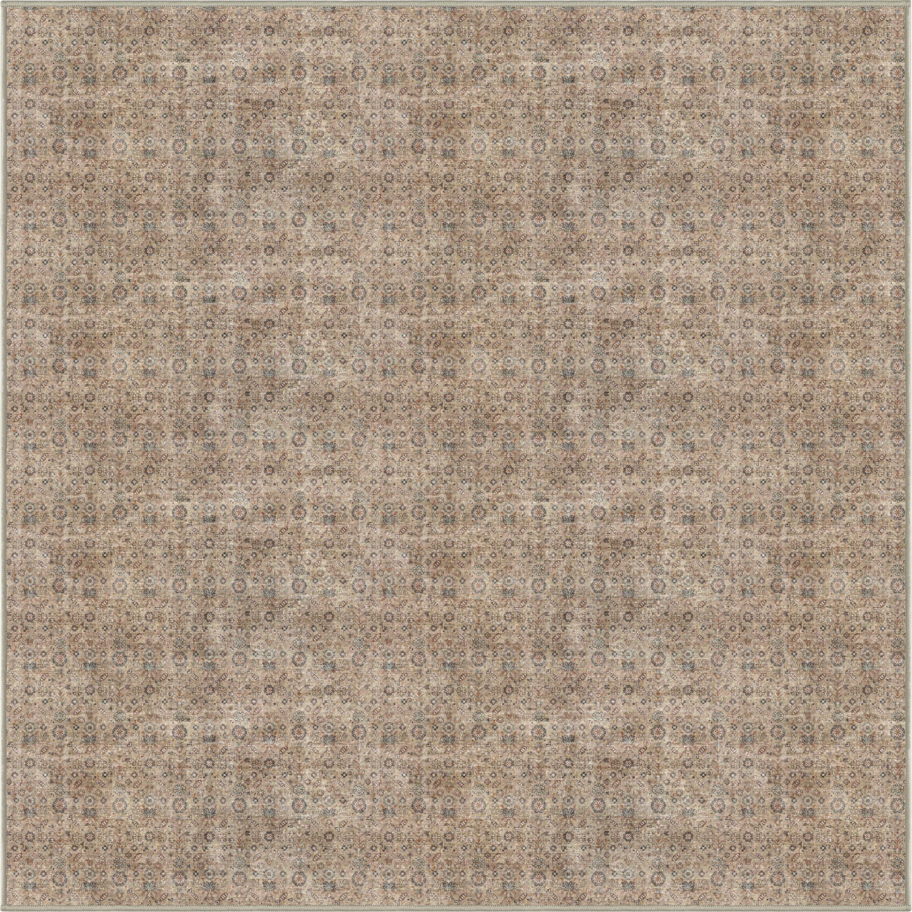 Beige Tan