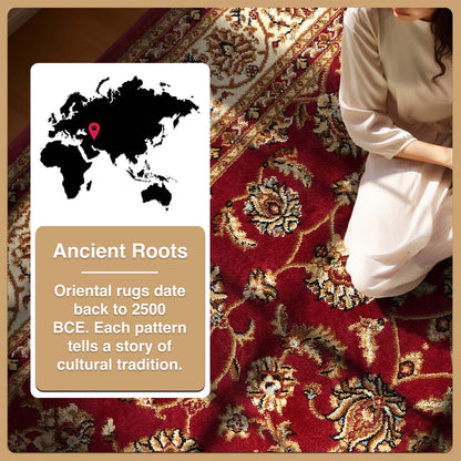 Sarouk Red Traditional Rug