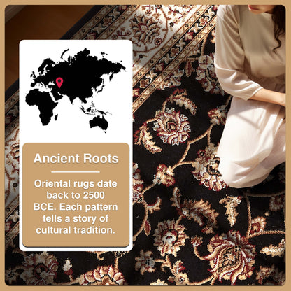 Sarouk Black Traditional Rug