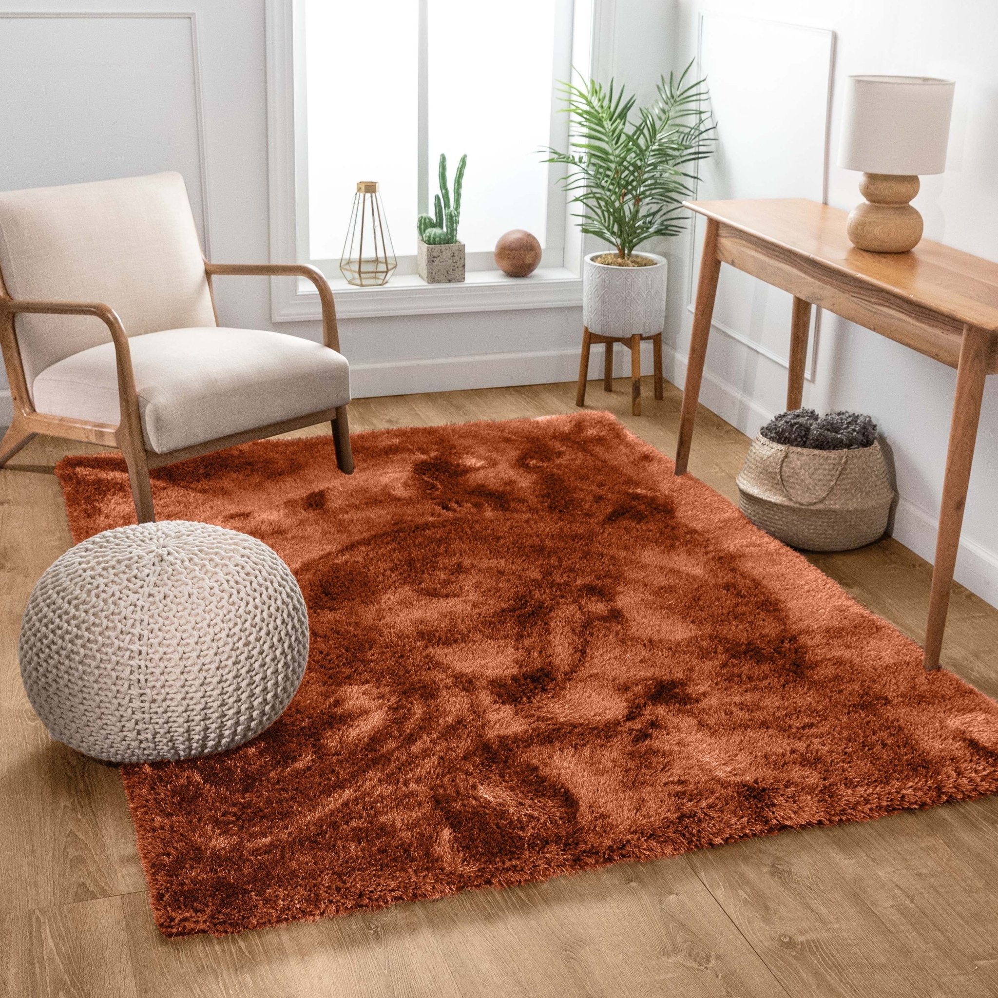 The Feather Collection Liza Terracotta Shag Rug in a living room