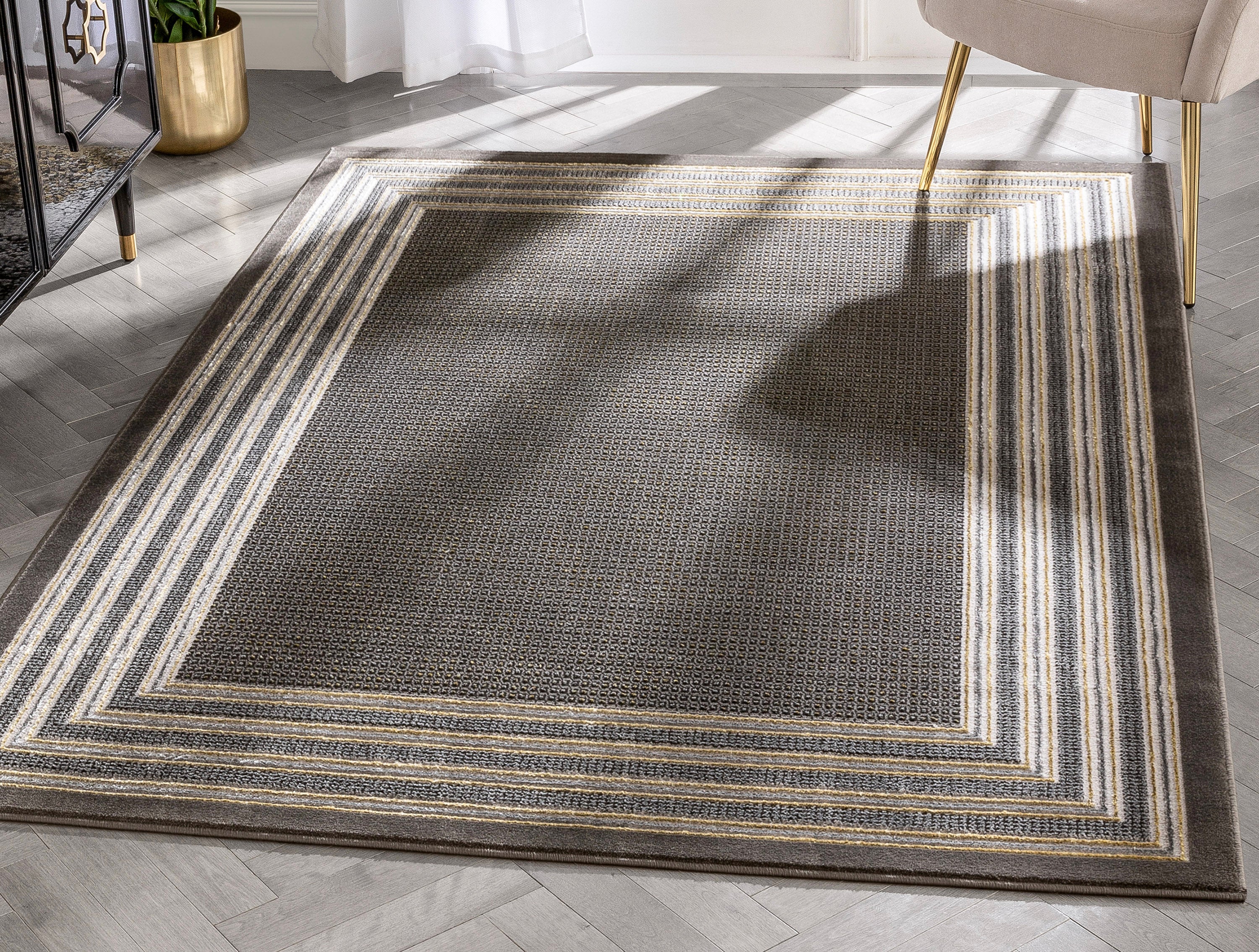 Waylon Retro Border Solid & Striped Grey Glam Rug