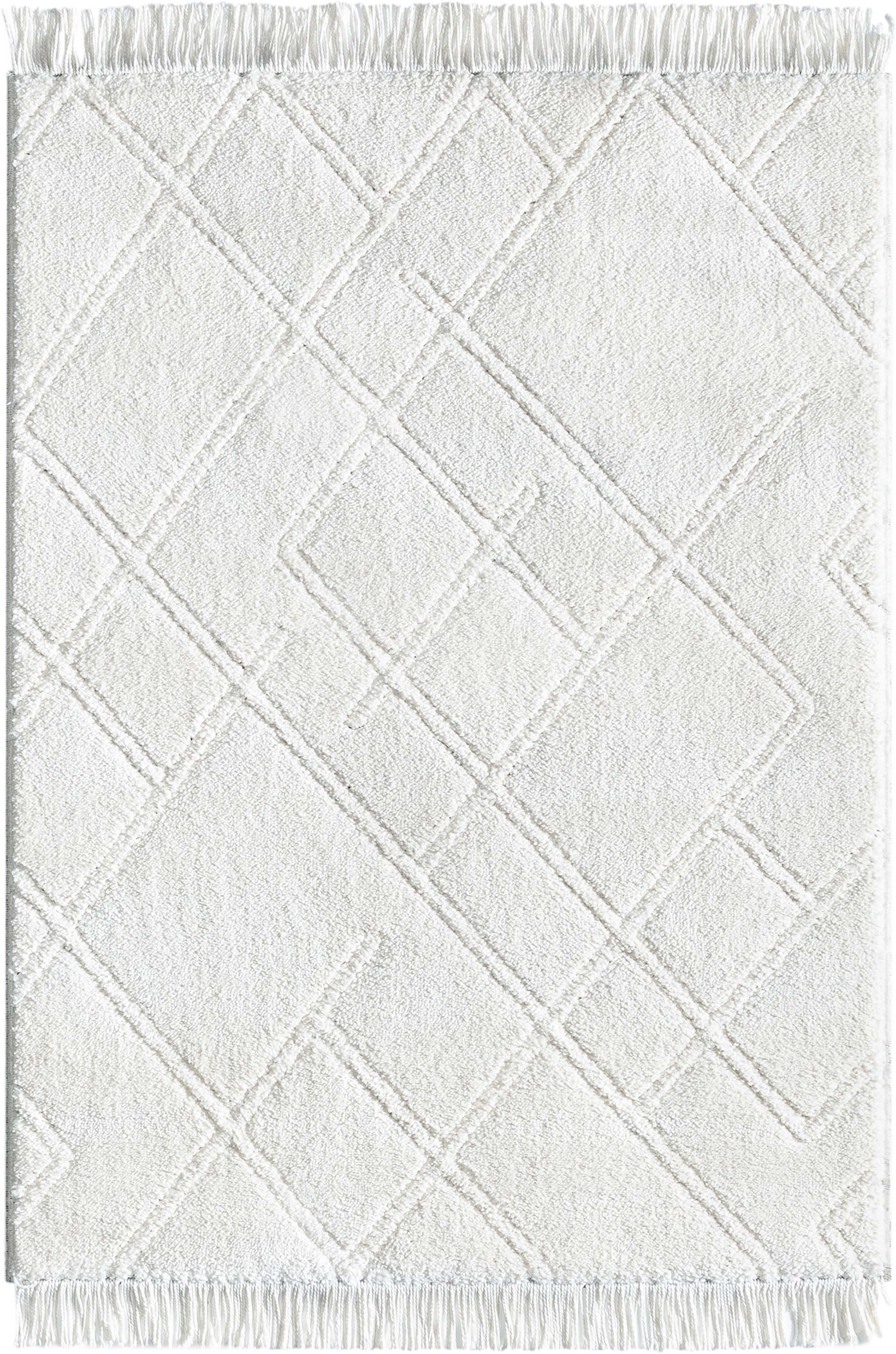 Firth Moroccan Trellis Textured Ivory Ultra Soft High-Low Shag Rug