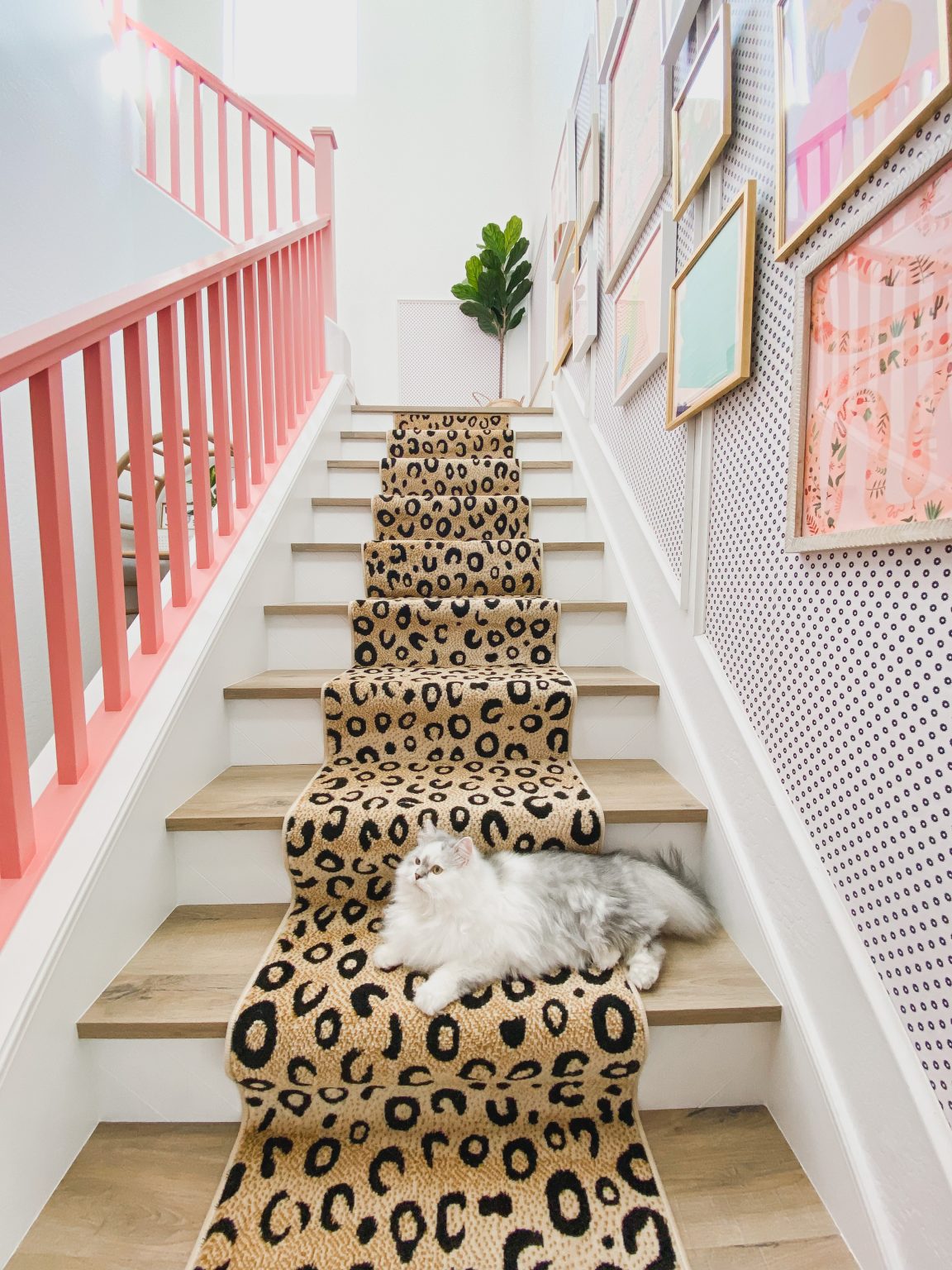Leopard Brown Black Animal Print Rug Well Woven