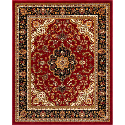 Medallion Kashan Red Traditional Rug