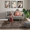 Olympic Super Soft Peppercorn Grey Modern Shag Rug