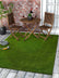 Grass Green Indoor/Outdoor Rug