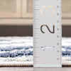 Salena Southwestern Medallion Pattern Blue Looped Pile Rug