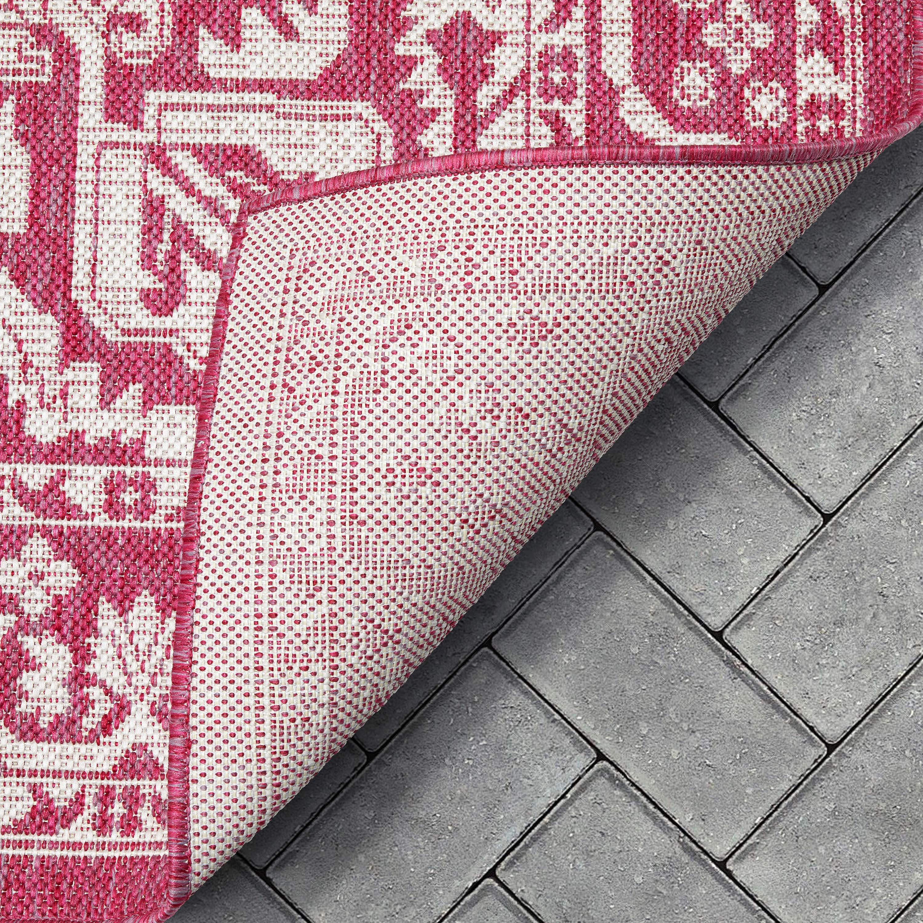 Celesine Oriental Medallion Indoor/Outdoor Fuschia Flat-Weave Rug