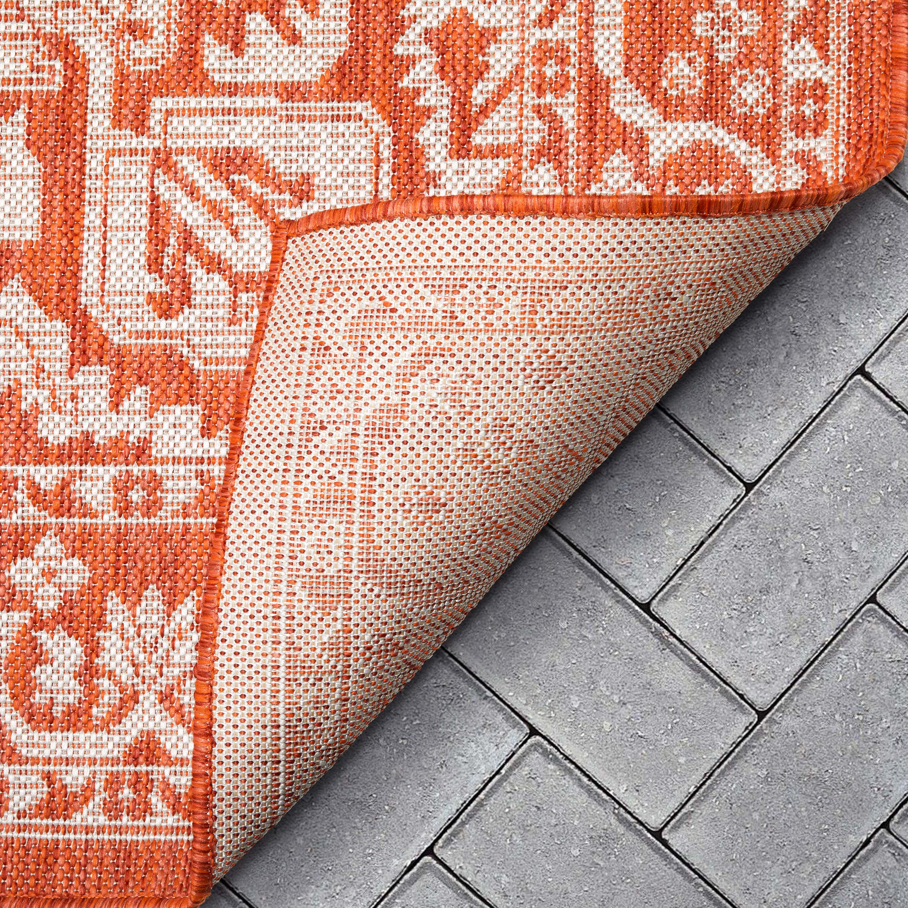 Celesine Oriental Medallion Indoor/Outdoor Orange Flat-Weave Rug