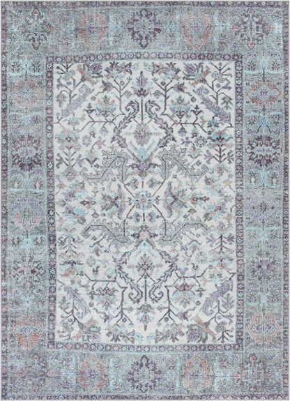 Macon Machine Washable Vintage  Medallion Botanical Border Beige Flat-Weave Distressed 5'3" x 7'3" Rug