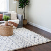 Blossom Moroccan Trellis Ivory Super Soft And Thick Shag Rug