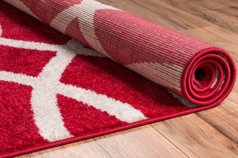Poofy Red Modern Trellis Rug
