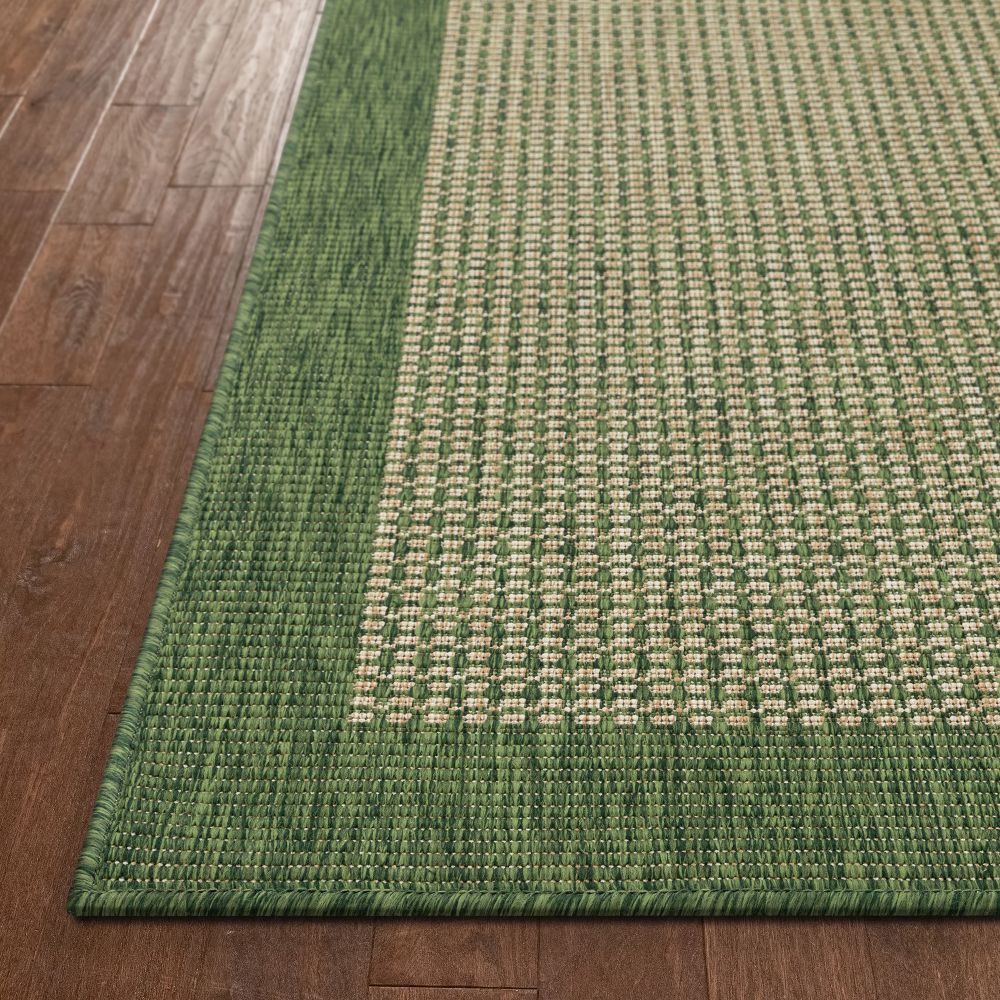 Odin Solid & Striped Border Indoor Outdoor Green Flatweave Rug