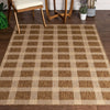 Freya Plaid Indoor Outdoor Brown Flatweave Rug