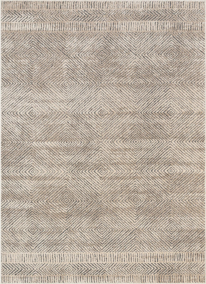 Hugo Tribal Geometric Beige Distressed High-Low Rug