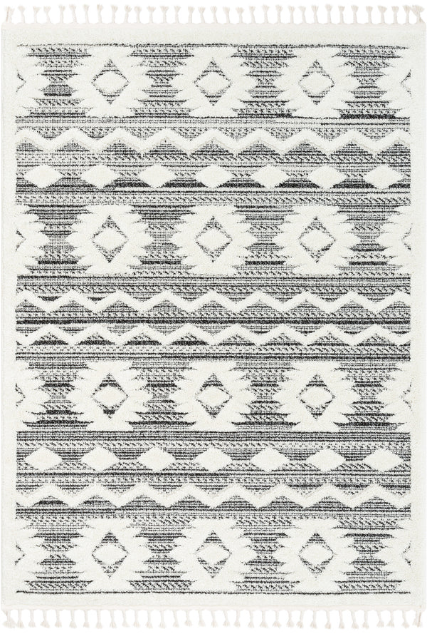 Addison Tribal Moroccan Diamond Pattern Black/Off-White High-Low Textured Rug