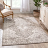 Monza Vintage Medallion Oriental Brown Rug