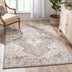 Monza Vintage Medallion Oriental Brown Rug
